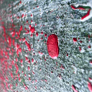 There is just now by Michelle Graham, Image 7.
