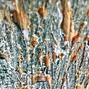 Movement is life by Michelle Graham, Image 4.