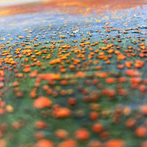 Everything within its place by Michelle Graham, Image 5.