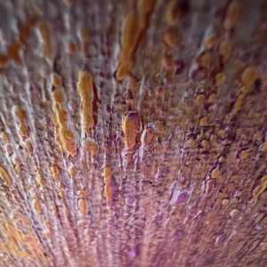 Shift 1 by Michelle Graham, Image 3.