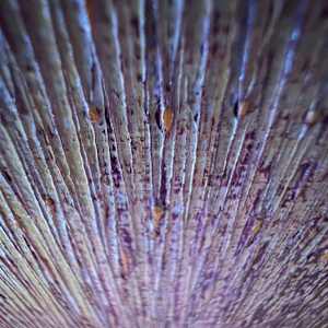 Shift 2 by Michelle Graham, Image 3.