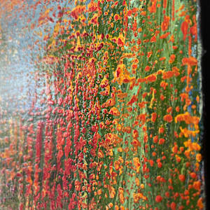Grassfire by Michelle Graham, Image 5.