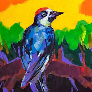 Acorn Woodpecker by Laura Green, Image 1.