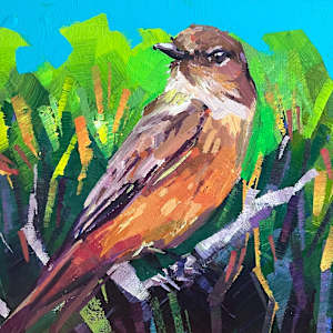 Say's Phoebe by Laura Green, Image 8.