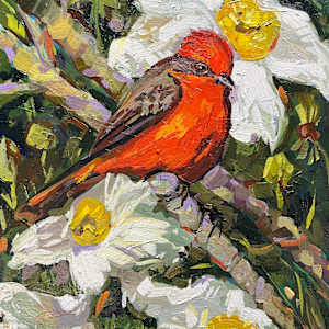 Vermilion Flycatcher by Laura Green, Image 8.