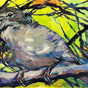 A Morning Song by Laura Green, Image 19.