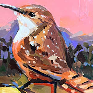 Cactus Wren with Pink Sky by Laura Green