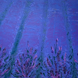 Lavender Fields by Elke Buegler