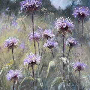 Bee Balm Inspiration by MaryAnn Cleary, Image 1.