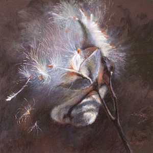 Milk Weed Going to Seed by MaryAnn Cleary, Image 1.