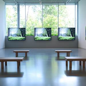 Intervals of Light by Eveline Marceau