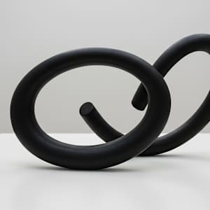 Entangled Orbits by Marina Holt