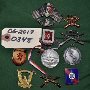 Various 9th Regiment Pins