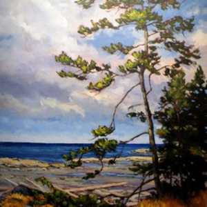 Beach Pine by Steven Armstrong, Image 1.