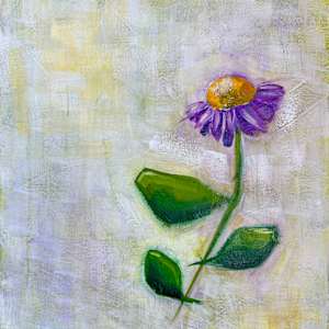 The Floating Garden: Purple Daisy by Jodi Gaines