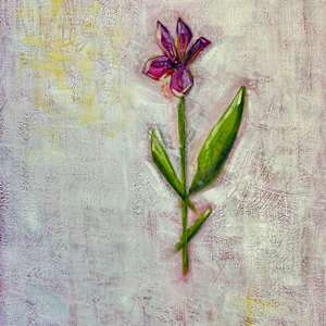 The Floating Garden: Purple Peruvian Lily by Jodi Gaines