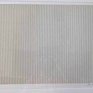 Carousel by Gene Davis