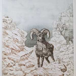 Nature's Realm by Ruth Heppler