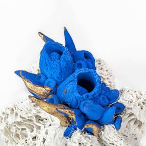 Bloom #08 by Asmae Laraqui 
