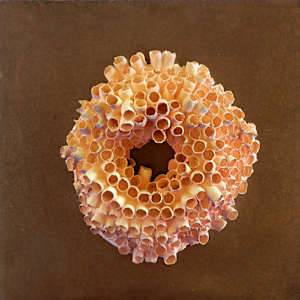 Porosité Partagée / Shared Porosity by Asmae Laraqui