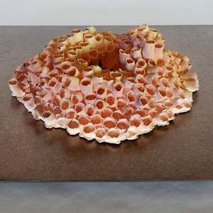 Porosité Partagée / Shared Porosity by Asmae Laraqui 