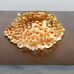 Porosité Partagée / Shared Porosity by Asmae Laraqui 