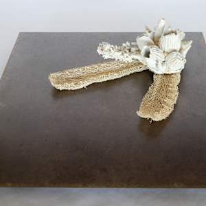 Hybridation sensible / Sensitive Hybridization by Asmae Laraqui 