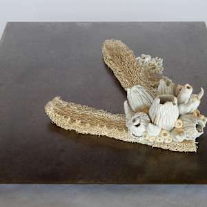 Hybridation sensible / Sensitive Hybridization by Asmae Laraqui 