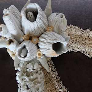 Hybridation sensible / Sensitive Hybridization by Asmae Laraqui 