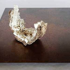 Coexistence en Devenir by Asmae Laraqui 