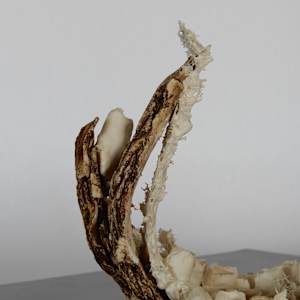 Coexistence en Devenir by Asmae Laraqui 