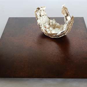 Coexistence en Devenir by Asmae Laraqui 