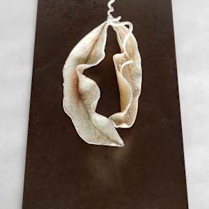 Echo de Feuille / Echo of a Leaf by Asmae Laraqui 