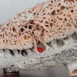 Synapse culturelle / Cultural Synapse by Asmae Laraqui 