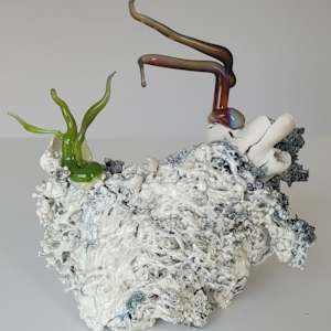 Cristallisation organique / Organic Cristallization by Asmae Laraqui