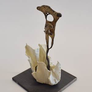À fleur d'ombre / At the Edge of Shadow by Asmae Laraqui 