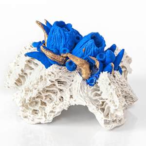 Bloom #08 by Asmae Laraqui 