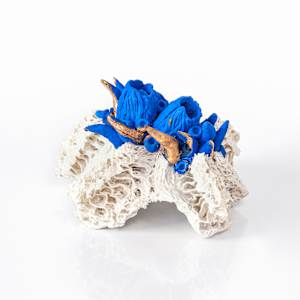 Bloom #08 by Asmae Laraqui