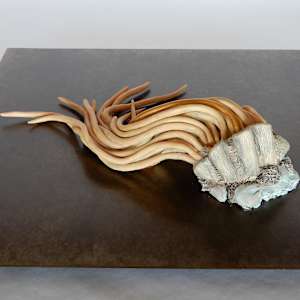 Lisière Vivante by Asmae Laraqui 