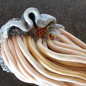 Lisière Vivante by Asmae Laraqui 