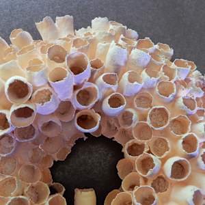 Porosité Partagée / Shared Porosity by Asmae Laraqui 