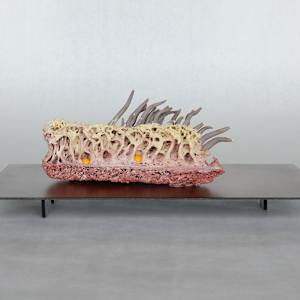 Fusion Latente / Latent Fusion by Asmae Laraqui