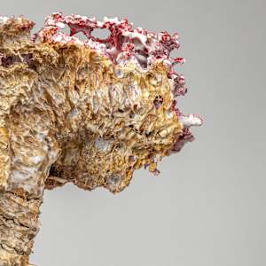 Emerging by Asmae Laraqui 