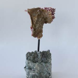 Mémoire en mutation / Memory In Mutation by Asmae Laraqui, Image 3.