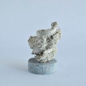 Shifting Forms by Asmae Laraqui 