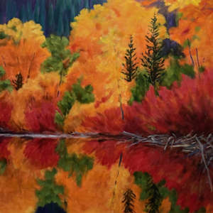 L’abri du castor/ The Beaver Hut (Non disposition pour vente / Not for sale) by Marianne Feaver