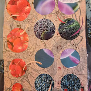 Stepping Stones by Rachel Wilsey, Image 1.