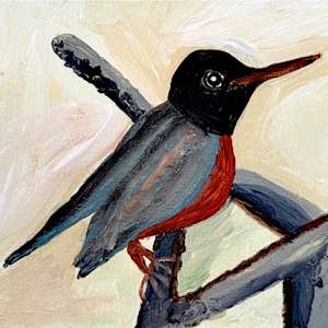 Robin by Tex, Image 1.