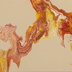 Through the Fire by Jeanine D Rozier