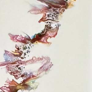 The Unfolding by Jeanine D Rozier